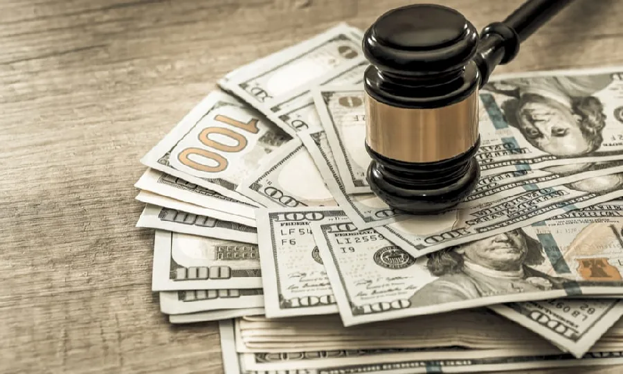 WHAT YOU SHOULD KNOW ABOUT NAN INC. OWNER LAWSUIT